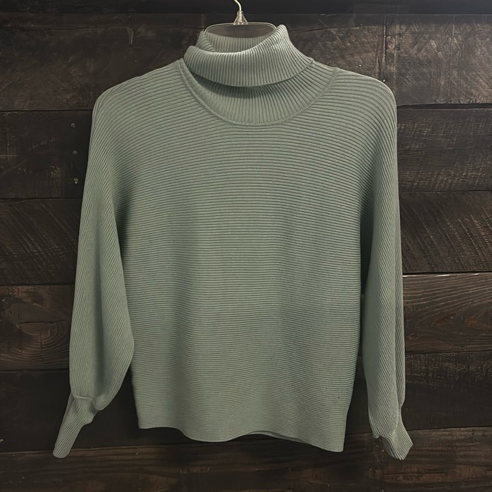 Teal ribbed turtleneck sweater